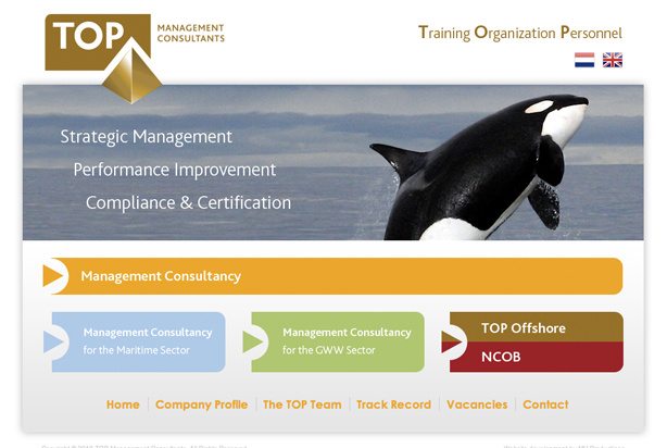 TOP Management Consultants