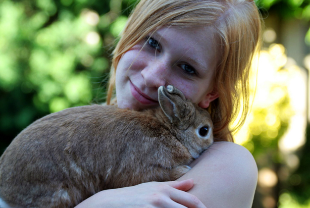 Rabbit